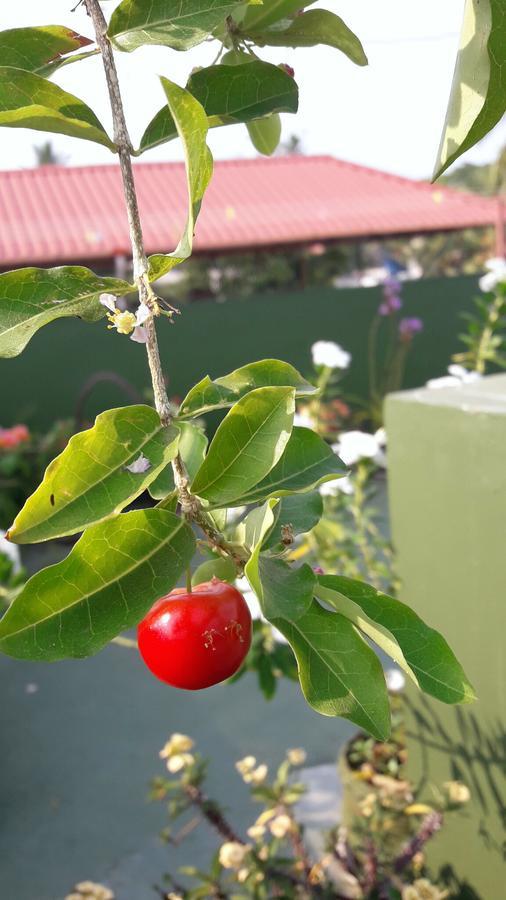 Heavenly Homestay Kochi Exteriör bild