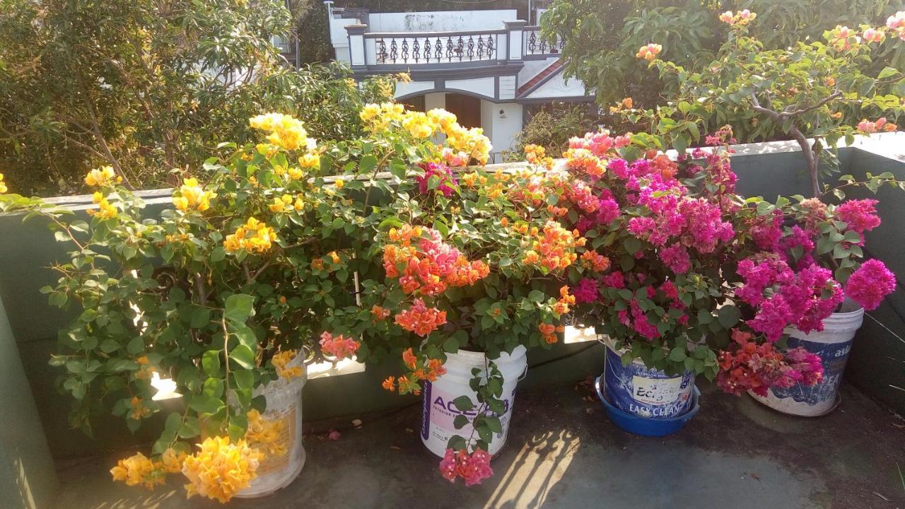Heavenly Homestay Kochi Exteriör bild