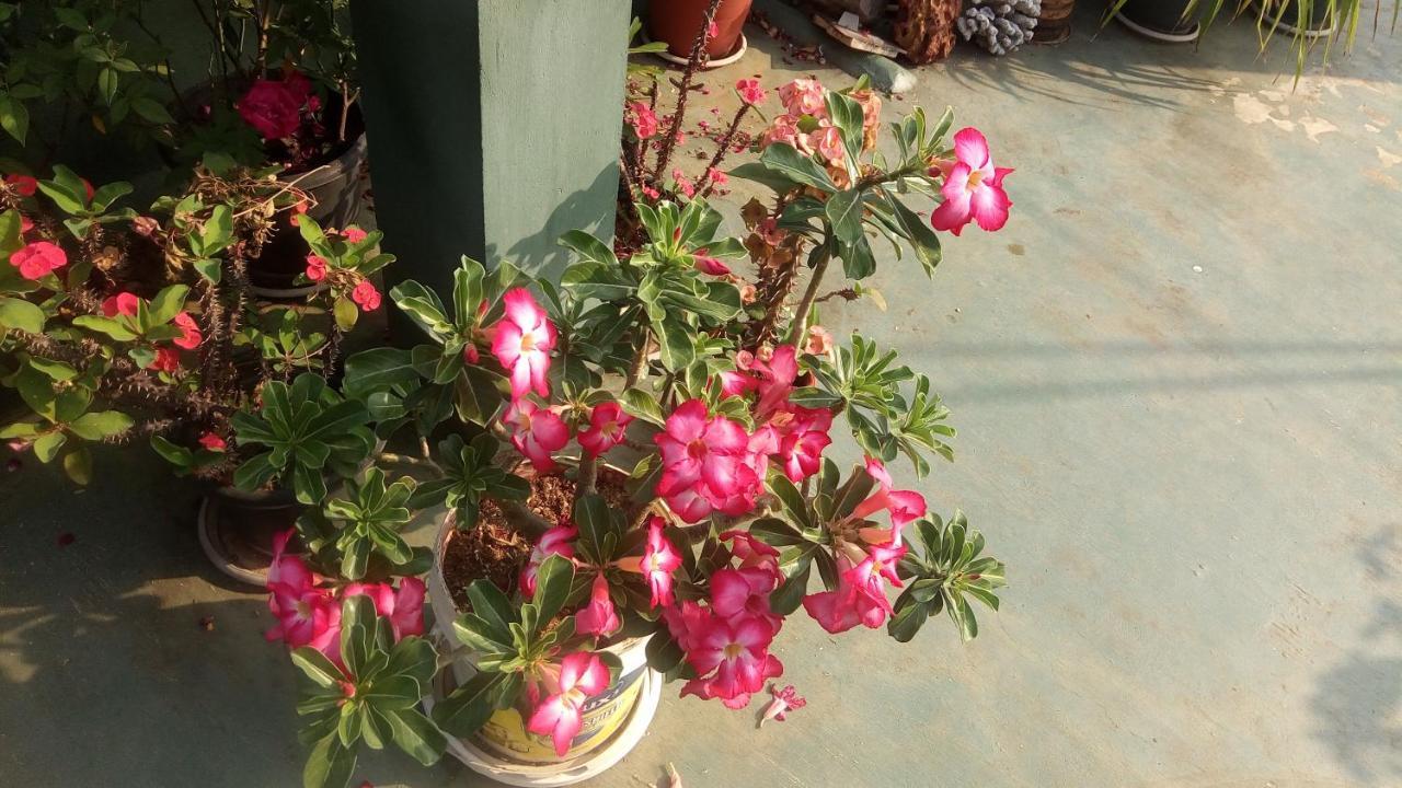 Heavenly Homestay Kochi Exteriör bild